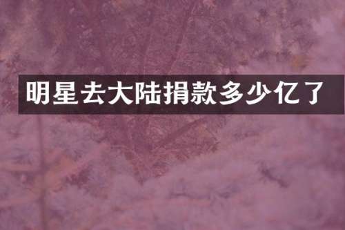 明星去大陆捐款多少亿了