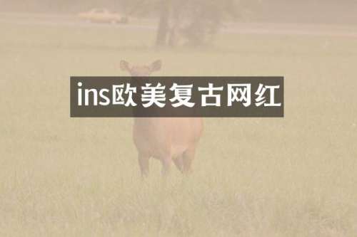 ins欧美复古网红
