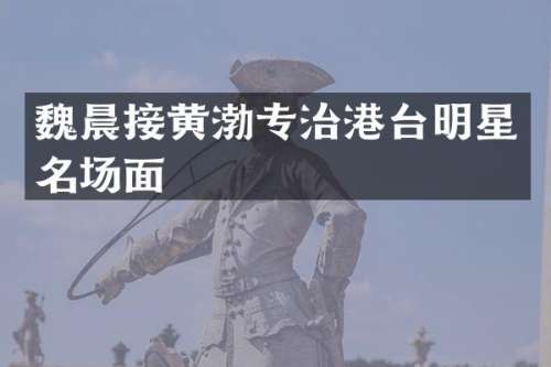 魏晨接黄渤专治港台明星名场面
