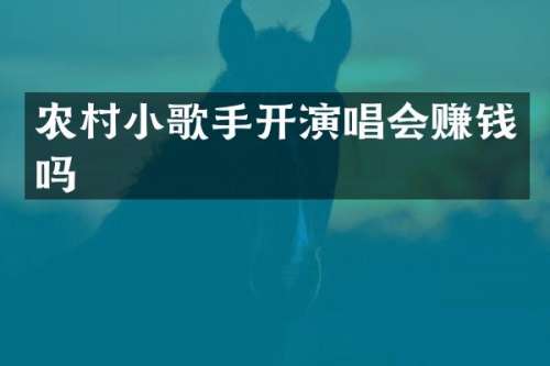 农村小歌手开演唱会赚钱吗