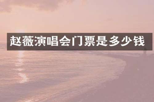 赵薇演唱会门票是多少钱