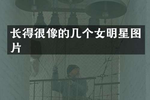 长得很像的几个女明星图片