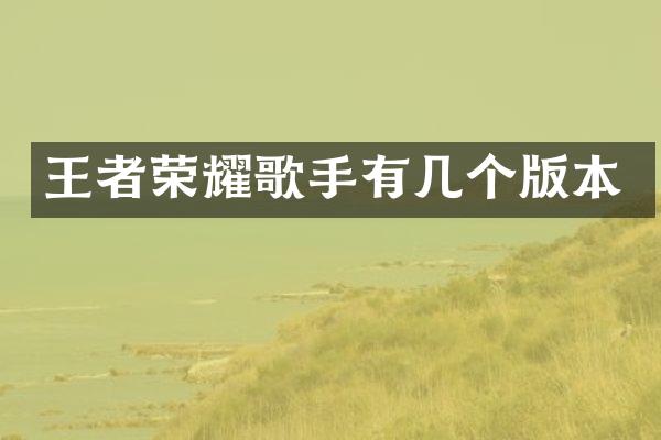 王者荣耀歌手有几个版本