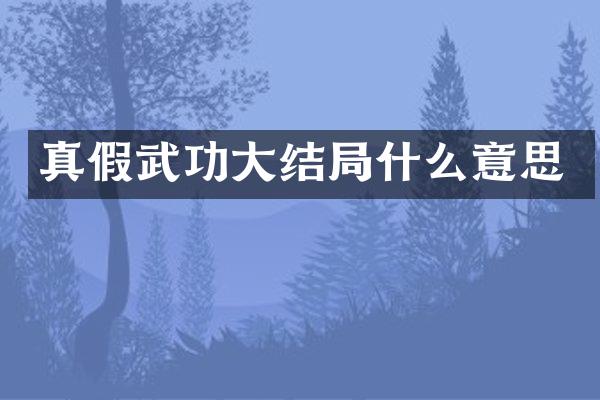 真假武功大结局什么意思