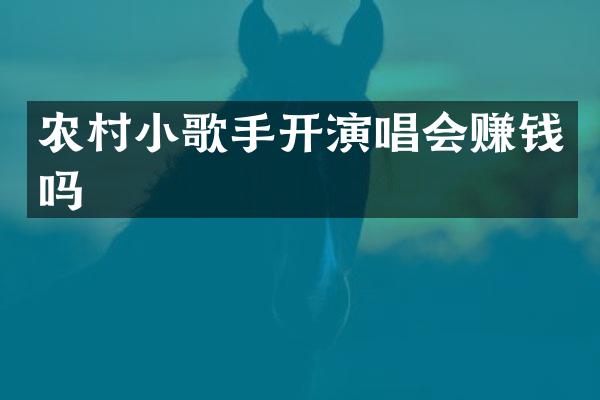 农村小歌手开演唱会赚钱吗