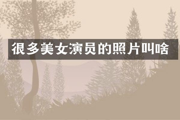 很多演员的照片叫啥