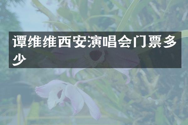 谭维维西安演唱会门票多少