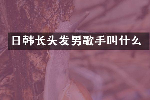 日韩长头发男歌手叫什么