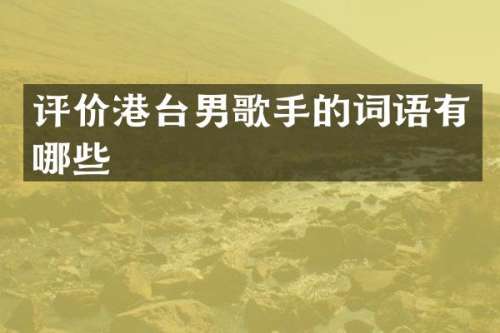 评价港台男歌手的词语有哪些