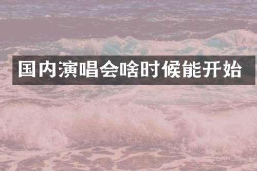 国内演唱会啥时候能开始