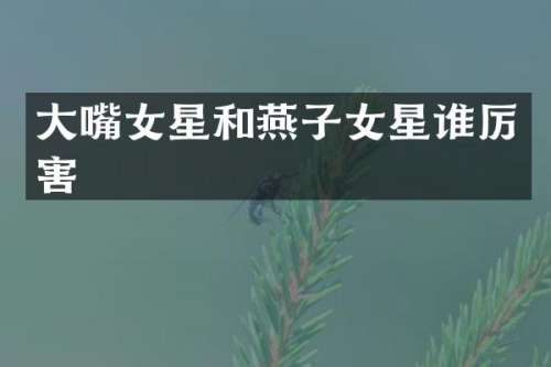 大嘴女星和燕子女星
