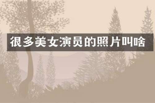 很多演员的照片叫啥
