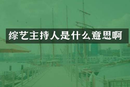 综艺主持人是什么意思啊