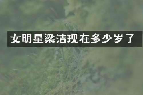 女明星现在了