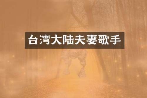 台湾大陆夫妻歌手