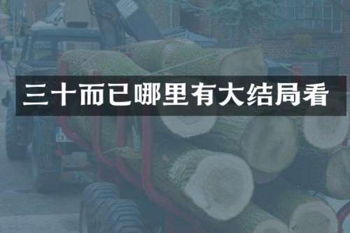 三十而已哪里有大结局看