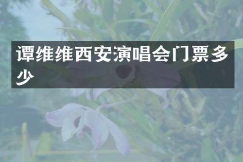 谭维维西安演唱会门票多少