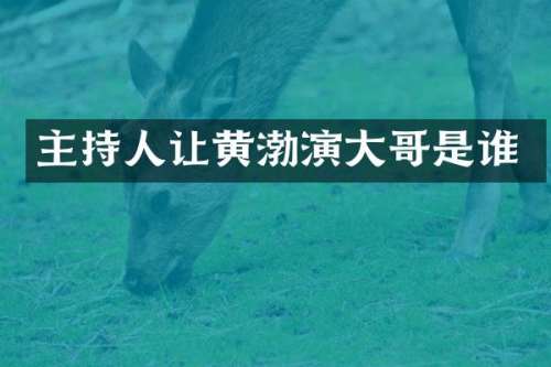 主持人让黄渤演大哥是谁