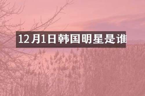 12月1日韩国明星是谁