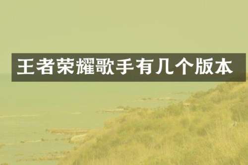王者荣耀歌手有几个版本