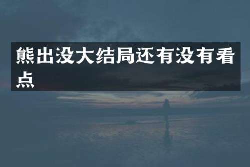 熊出没大结局还有没有看点