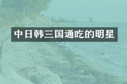 中日韩三国通吃的明星