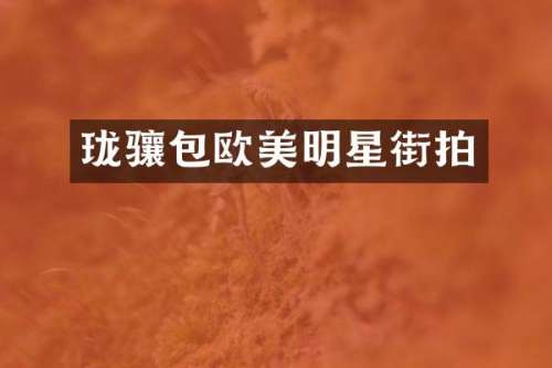 珑骧包欧美明星街拍