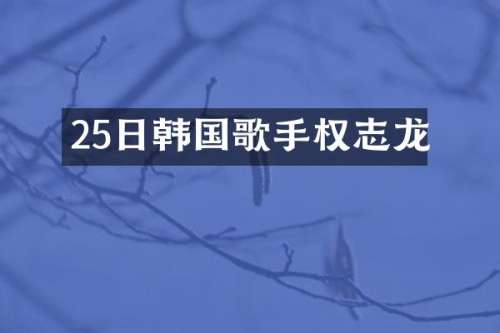 25日韩国歌手