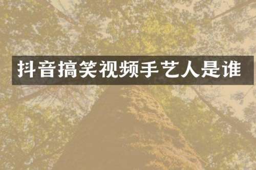 抖音搞笑视频手艺人是谁