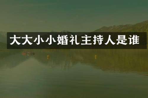 大大小小婚礼主持人是谁