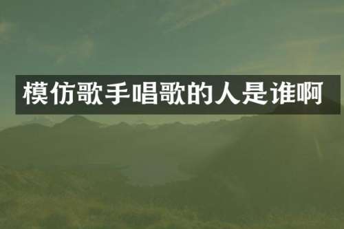 模仿歌手唱歌的人是谁啊