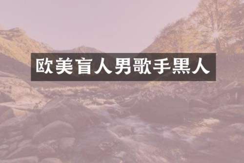 欧美盲人男歌手黑人