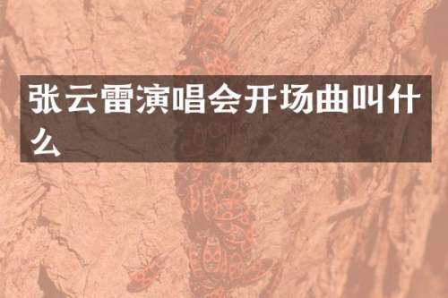 张云雷演唱会开场曲叫什么