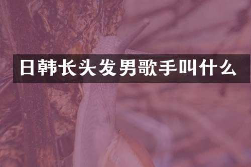 日韩长头发男歌手叫什么