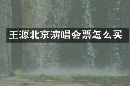 王源北京演唱会票怎么买