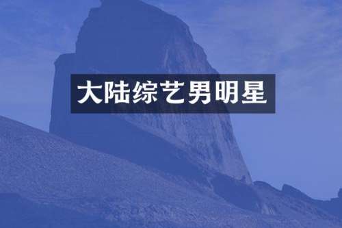 大陆综艺男明星