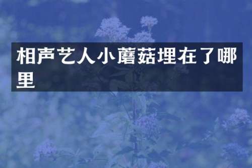 相声艺人小蘑菇埋在了哪里