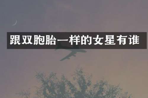 跟双胞胎一样的女星有谁