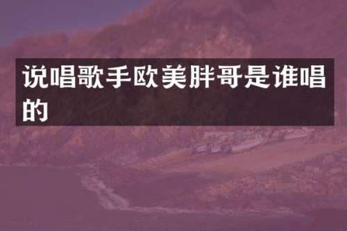 说唱歌手欧美胖哥是谁唱的