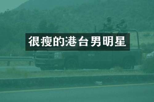 很瘦的港台男明星