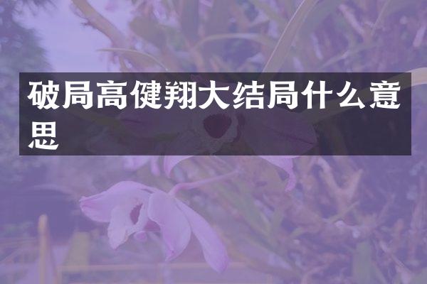 破局高健翔大结局什么意思
