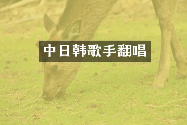 中日韩歌手翻唱