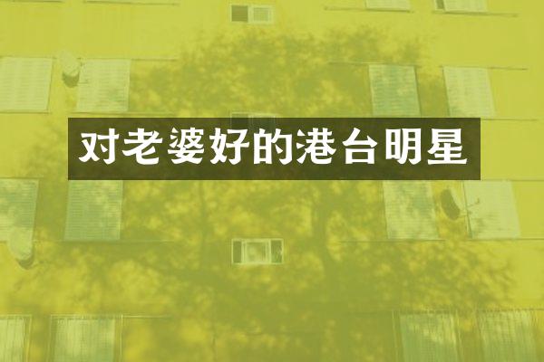 对老婆好的港台明星