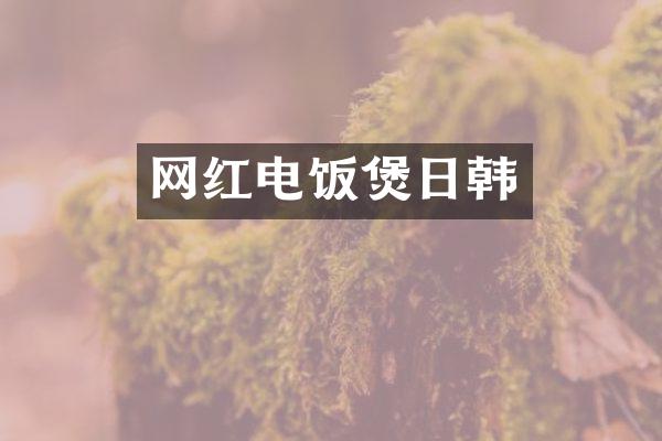 网红电饭煲日韩