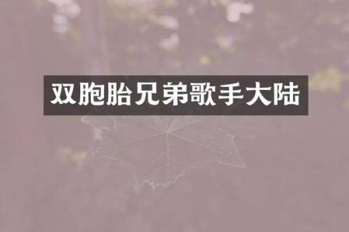 双胞胎兄弟歌手大陆