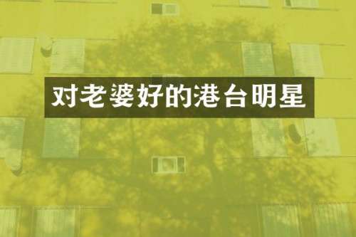 对老婆好的港台明星