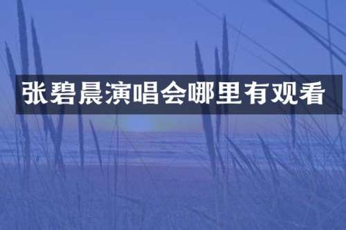 张碧晨演唱会哪里有观看