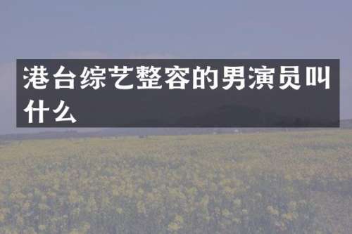 港台综艺整容的男演员叫什么