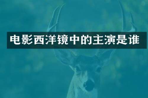 电影西洋镜中的主演是谁