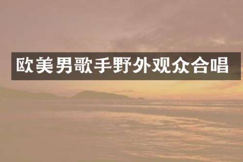 欧美男歌手野外观众合唱